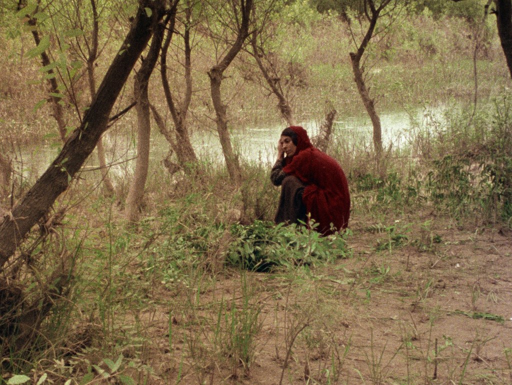 Marva Nabili’s The Sealed Soil (1977): A Hidden Gem of Iranian New Wave