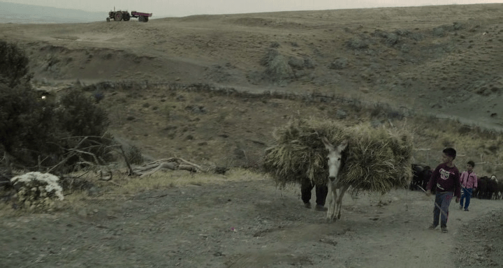 Rural landscape in the Iranian film 3 Faces (Se rokh, 2018), dir. Jafar Panahi