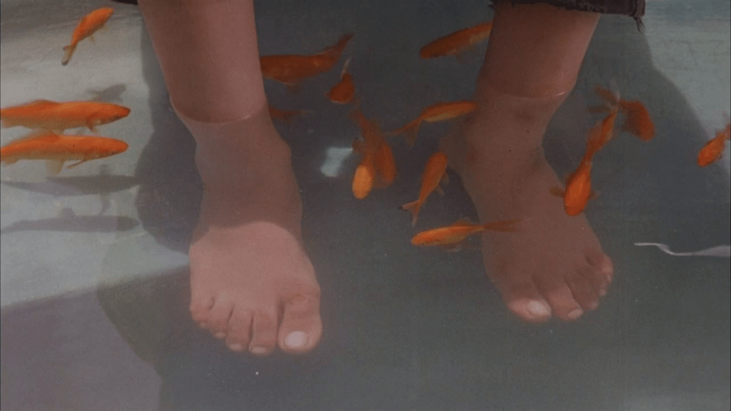 Children of Heaven (Bacheha-ye aseman, 1997), Iranian movie by Majid Majidi