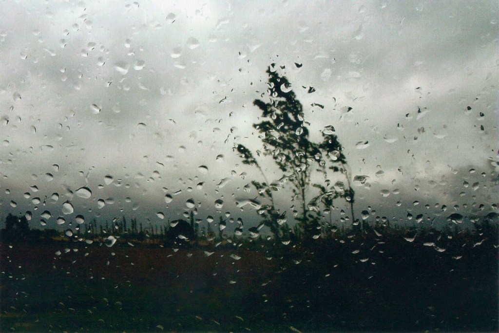Photography by Abbas Kiarostami