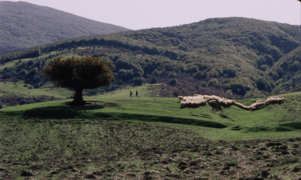 Willow and Wind (Bid o Bad, 1999), Mohammad Ali Talebi, Iranian movie