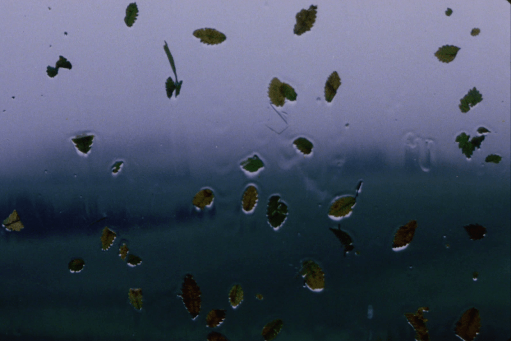 Willow and Wind (Bid o Bad, 1999), Mohammad Ali Talebi, Iranian movie