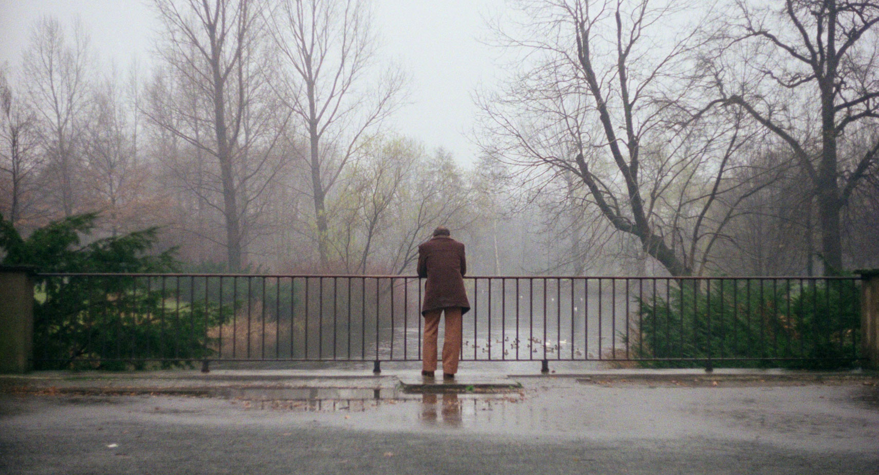 Where to Watch Iranian Films: The Complete Guide